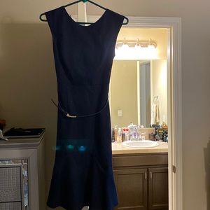 The Limited A line dress